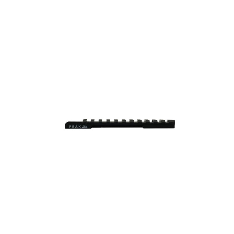 Carril Picatinny Model 307 Short Action (Jrail) 20 MOA