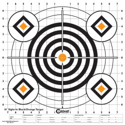 Diana en papel 16" x 16" (10 Unid) Bullseye