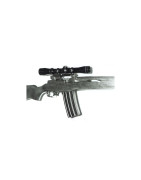Ruger Mini 14